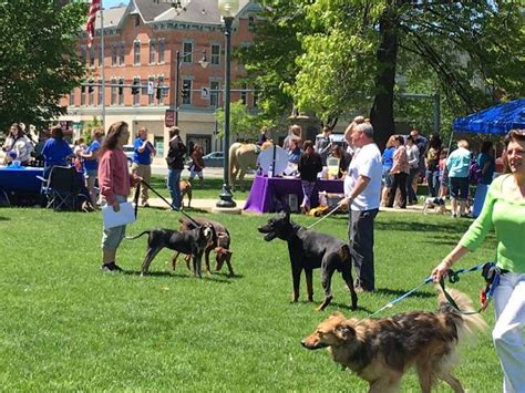 Pet Fest bounds back to Glens Falls in May